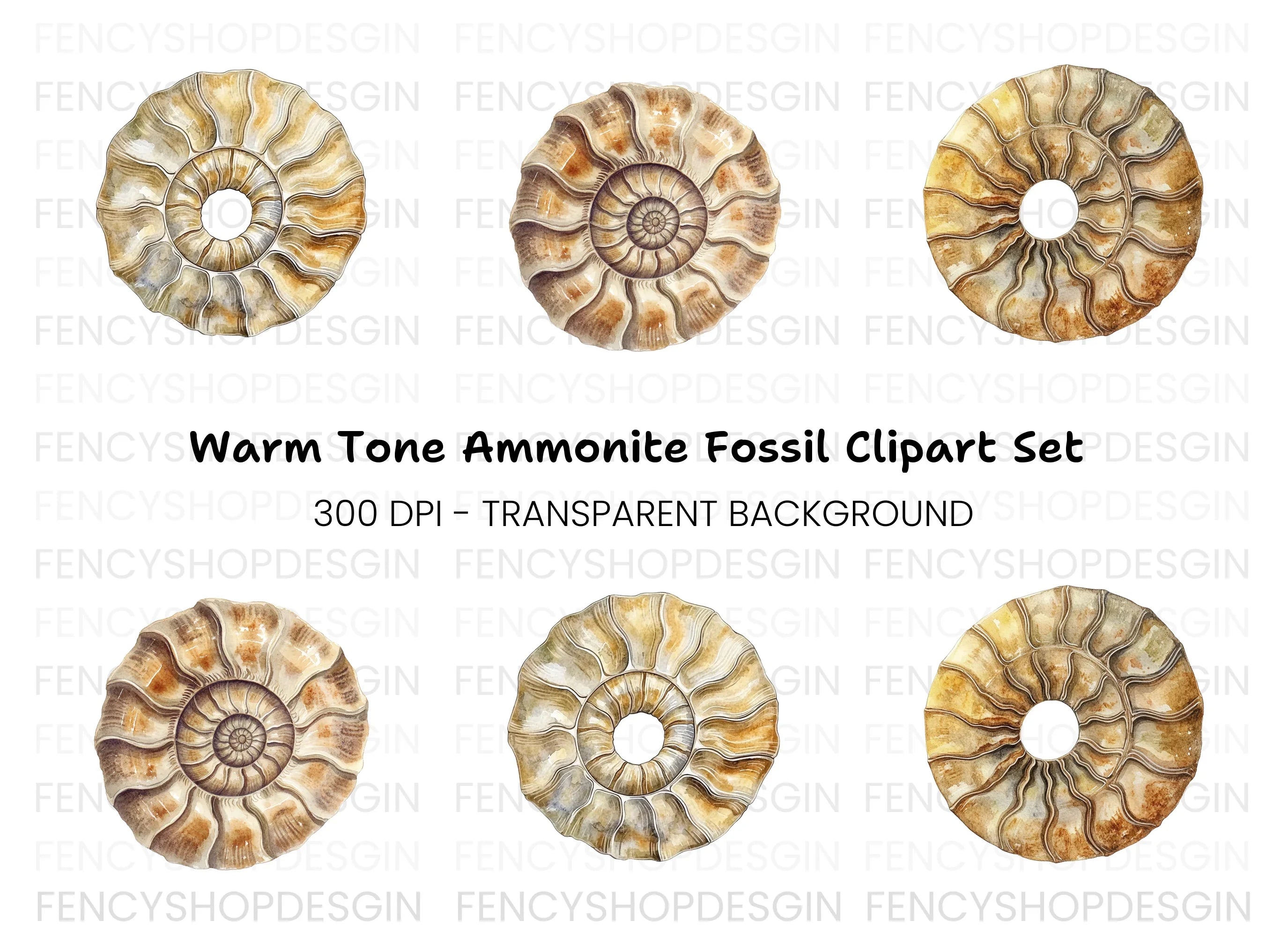 Ammonite Fossil Clipart Bundle