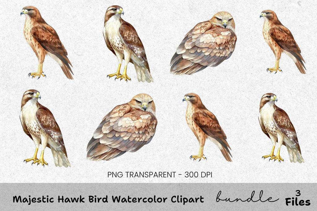 Majestic Hawk Bird Clipart Bundle