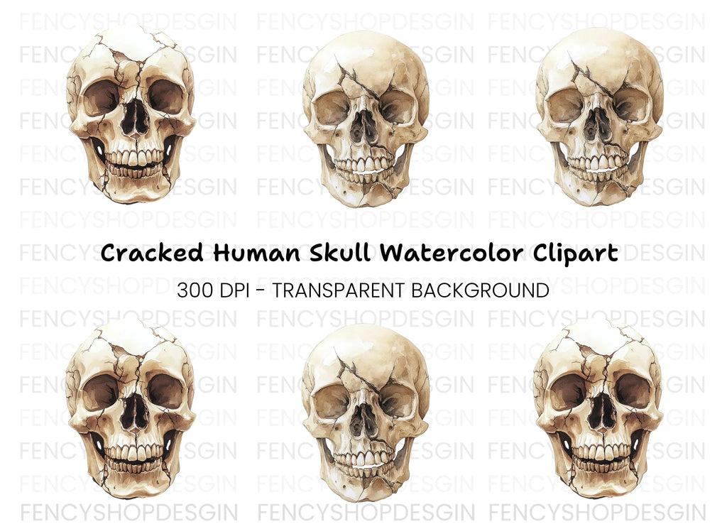 Cracked Human Skull Clipart Bundle
