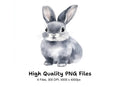 Cute Grey Bunny Rabbit Clipart Bundle