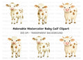 Cute Baby Calf Clipart Bundle