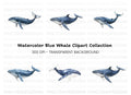 Blue Whales Clipart Bundle