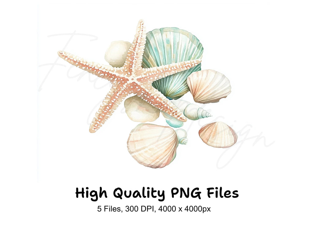 Seashells Starfish Clipart Bundle
