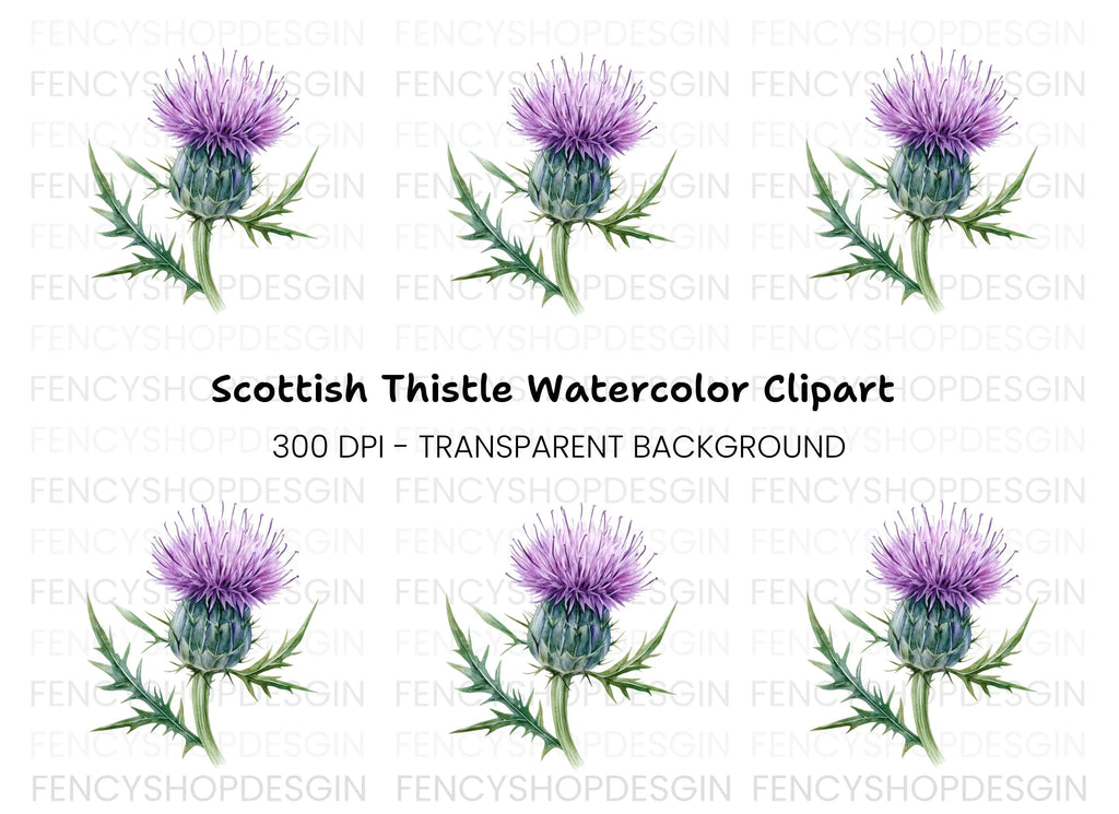 Scottish Thistle Flower Clipart Bundle