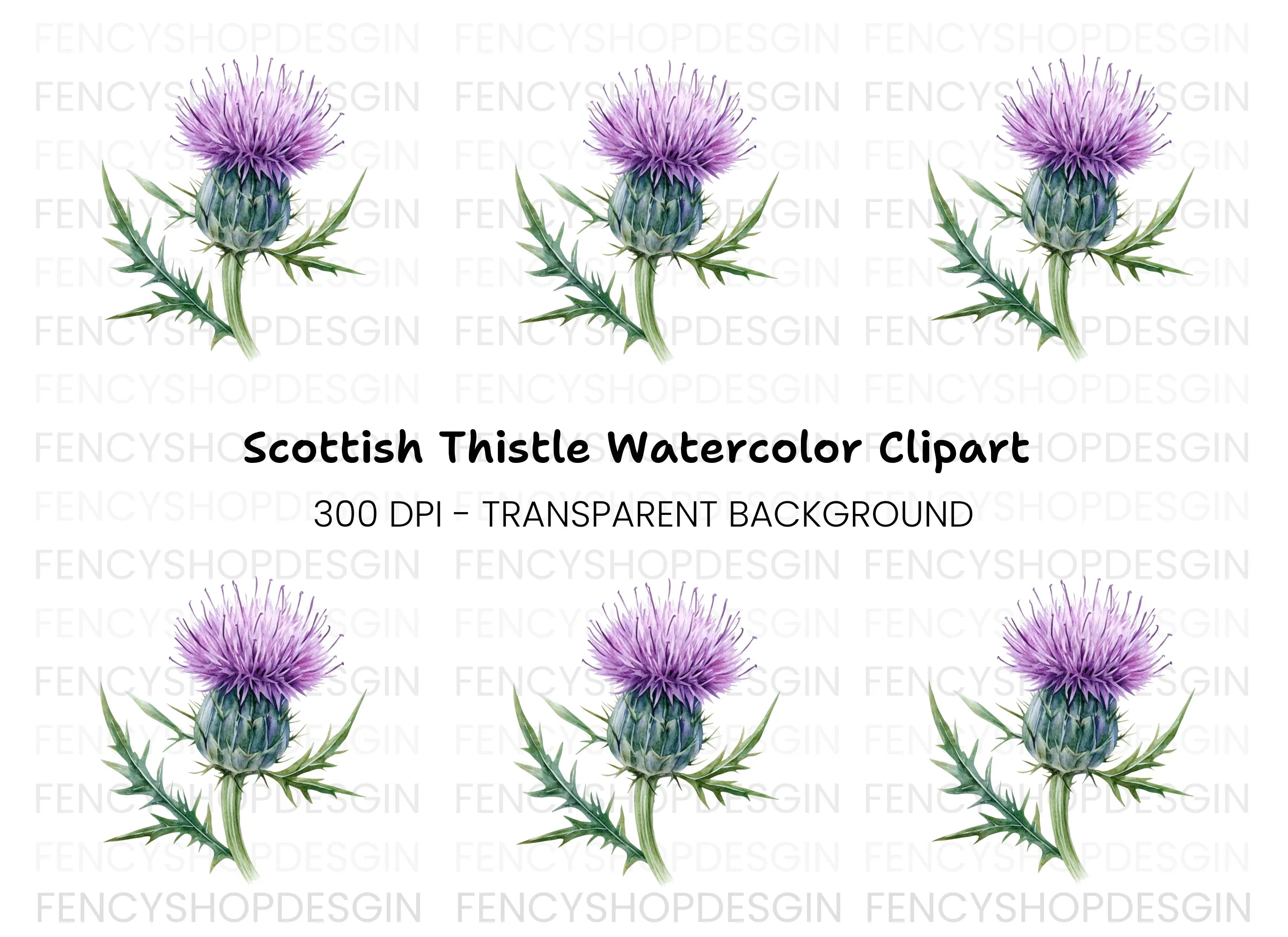 Scottish Thistle Flower Clipart Bundle