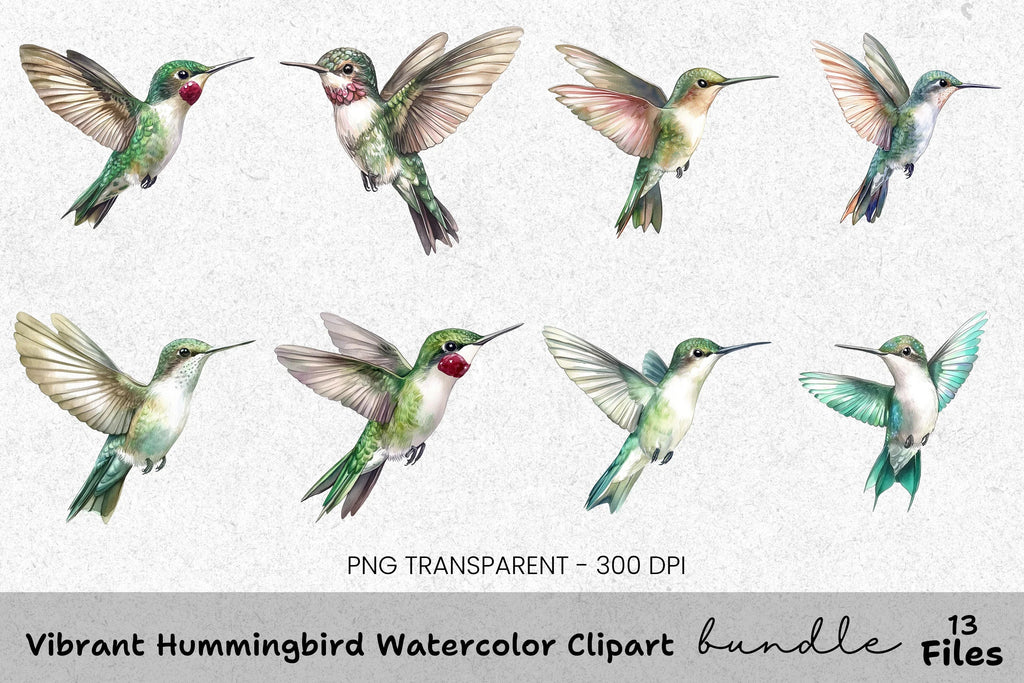Vibrant Hummingbird Clipart Bundle