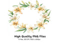 Colorful Lily Wreath Clipart Bundle