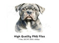 Cute Bullmastiff Puppy Clipart Bundle
