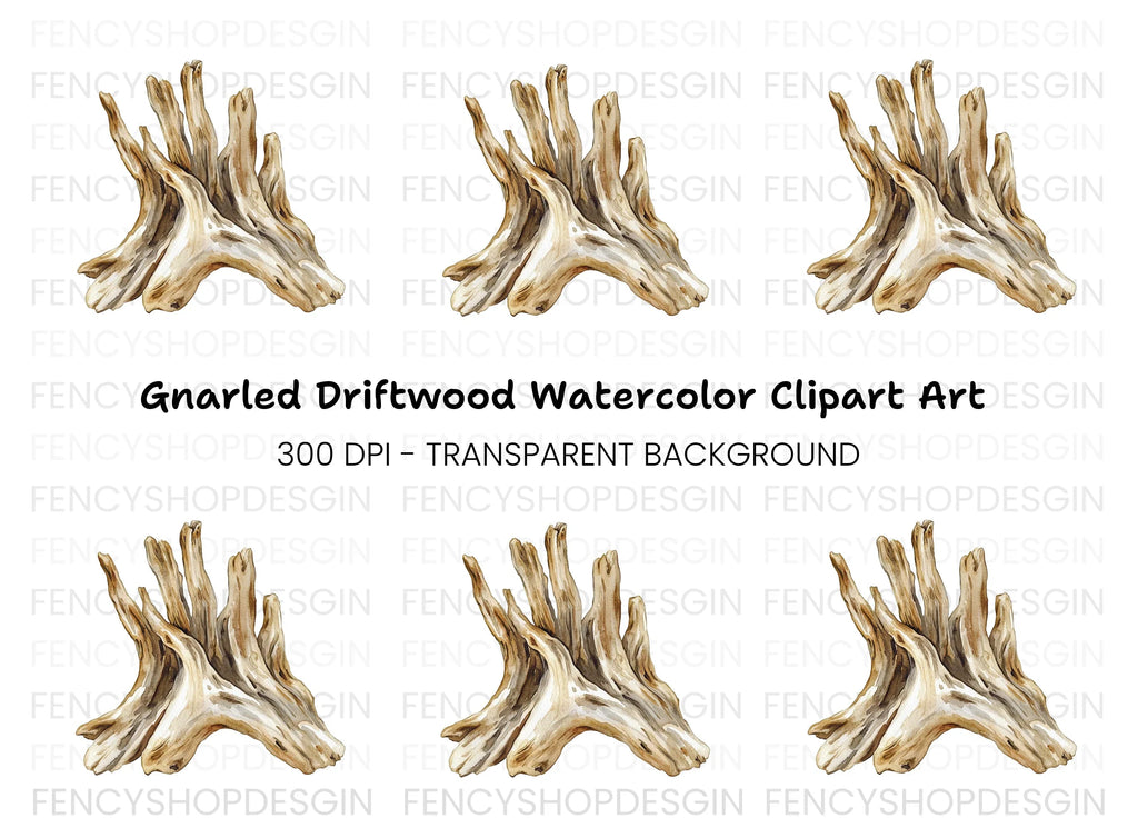 Natural Wood Root Illustration Clipart Bundle