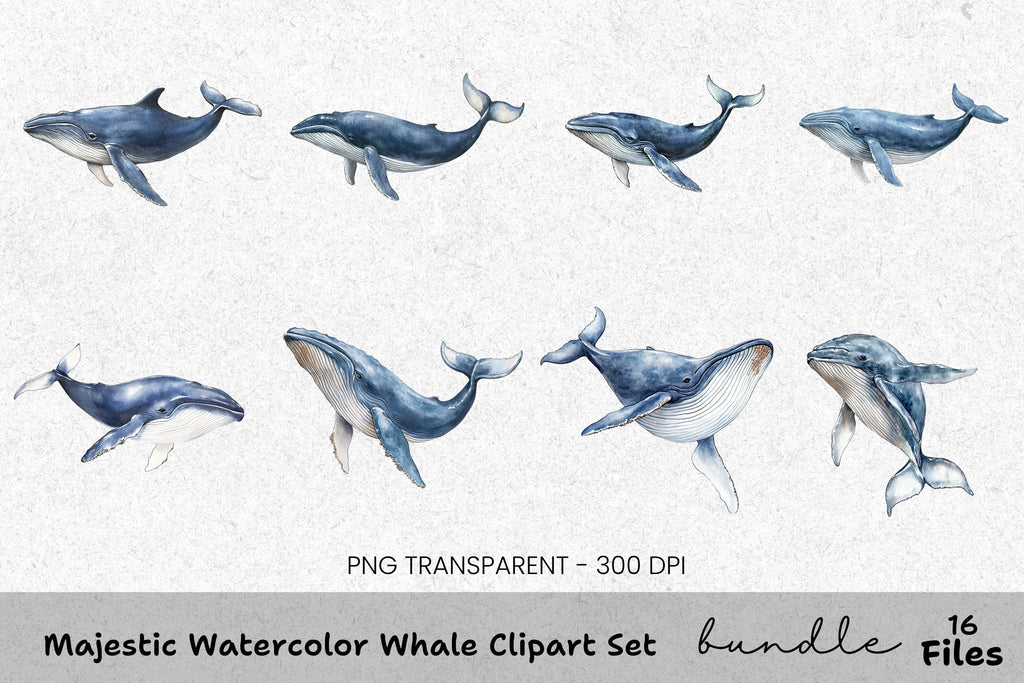 Majestic Whale Clipart Bundle