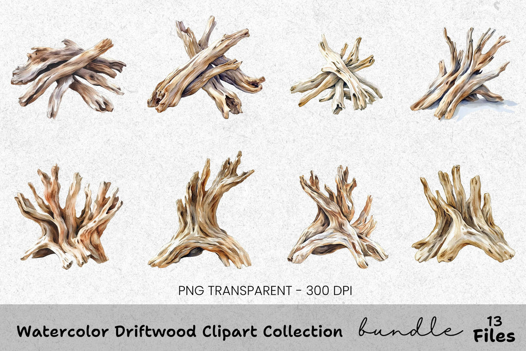Driftwood Clipart Bundle
