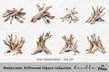 Driftwood Clipart Bundle