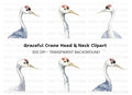 Elegant Crane Heads Clipart Bundle