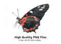 Elegant Red and Black Butterfly Clipart Bundle