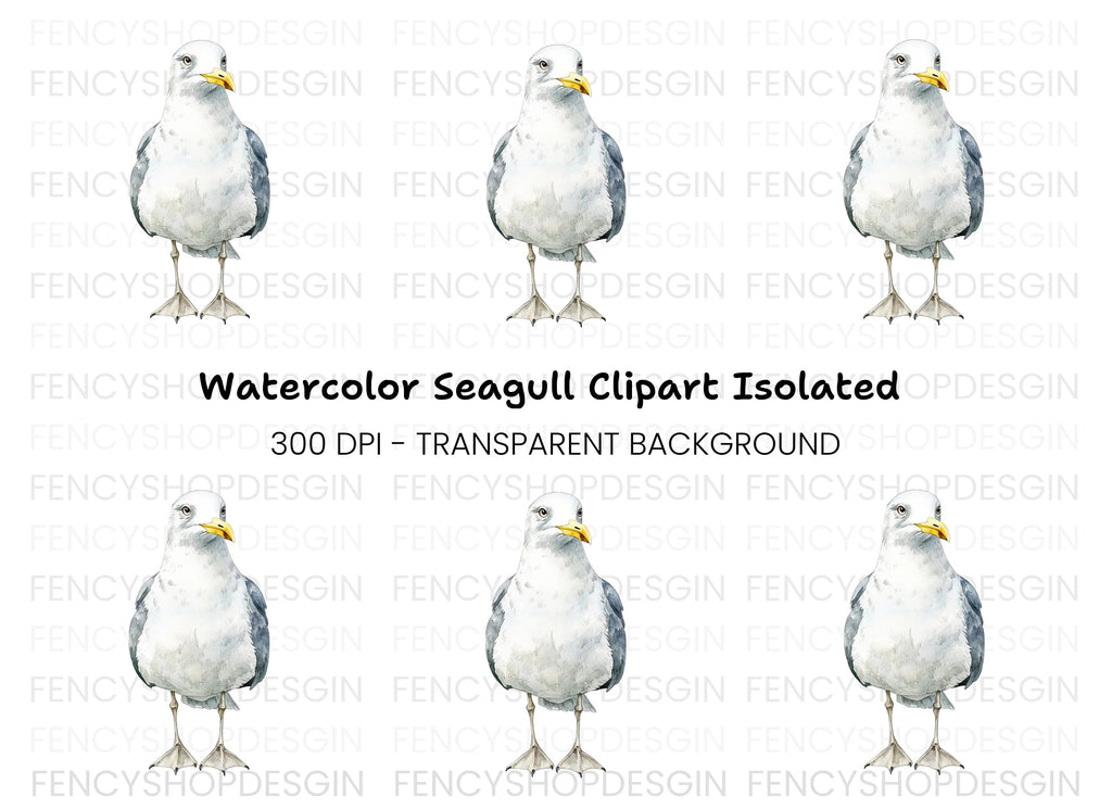 Seagull Illustration Clipart Bundle