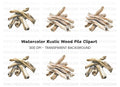 Driftwood Clipart Bundle