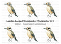 Cute Spotted Woodpecker Clipart Bundle