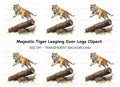Dynamic Tiger Leap Clipart Bundle