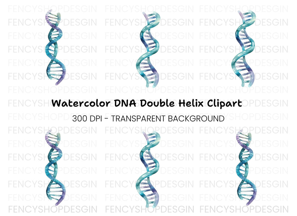 DNA Strand Clipart Bundle