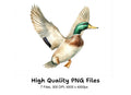 Flying Mallard Ducks Clipart Bundle