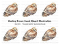 Fierce Hawk Illustration Clipart Bundle