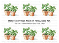 Fresh Basil Plants in Terracotta Pots Clipart Bundle
