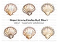 Elegant Diamond Seashell Clipart Bundle
