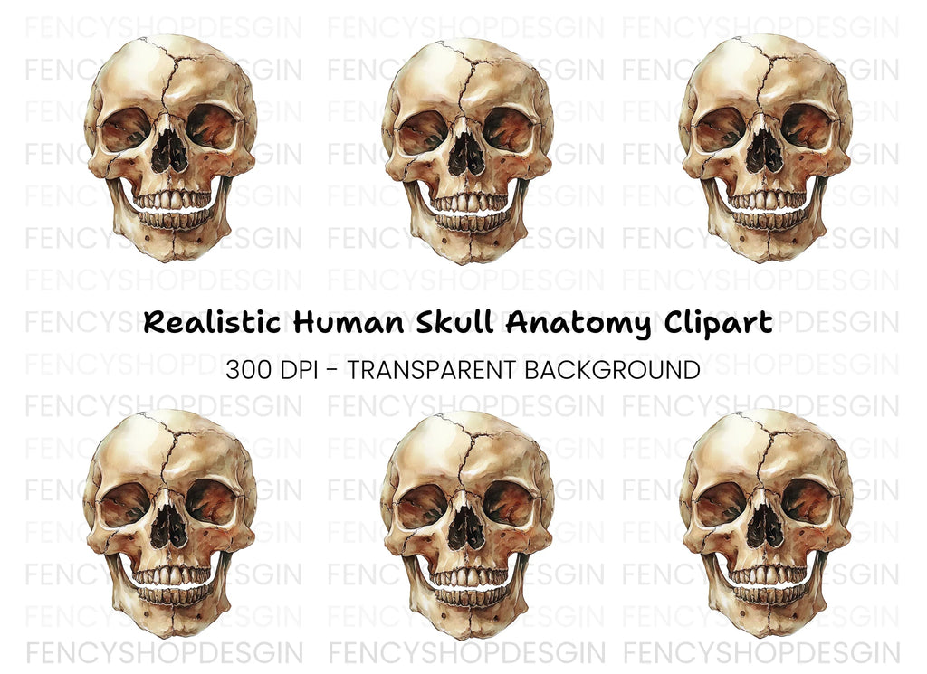 Human Skull Clipart Bundle