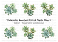 Lush Green Succulent Arrangement Clipart Bundle