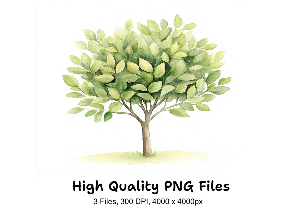 Lush Green Foliage Tree Clipart Bundle