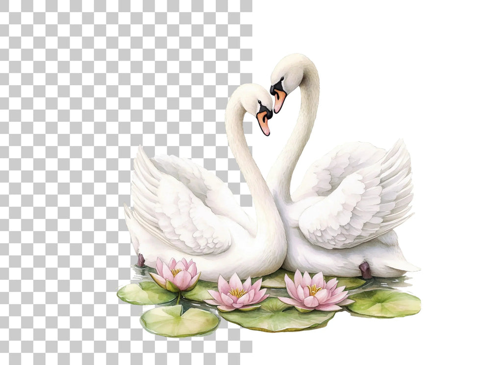 Romantic Swans with Water Lilies Clipart Bundle