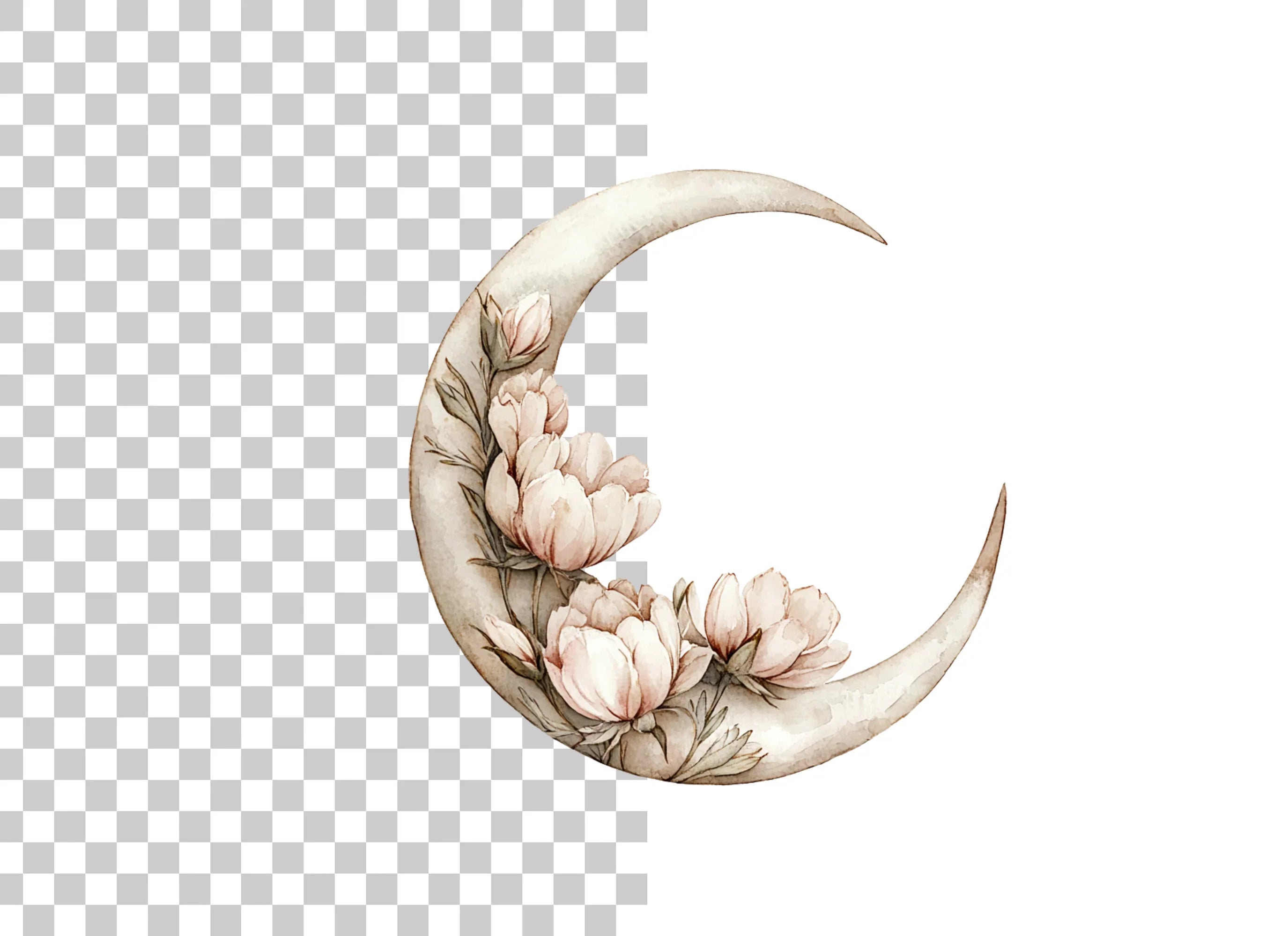 Floral Crescent Moon Clipart Bundle