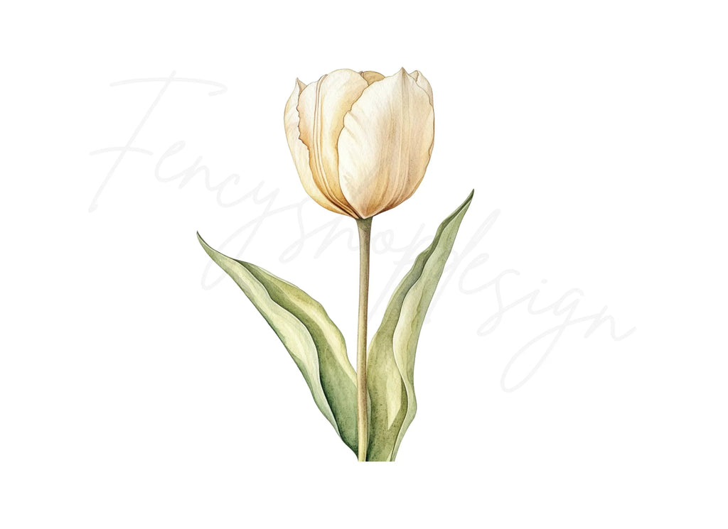 Single Tulip Flowers Clipart Bundle