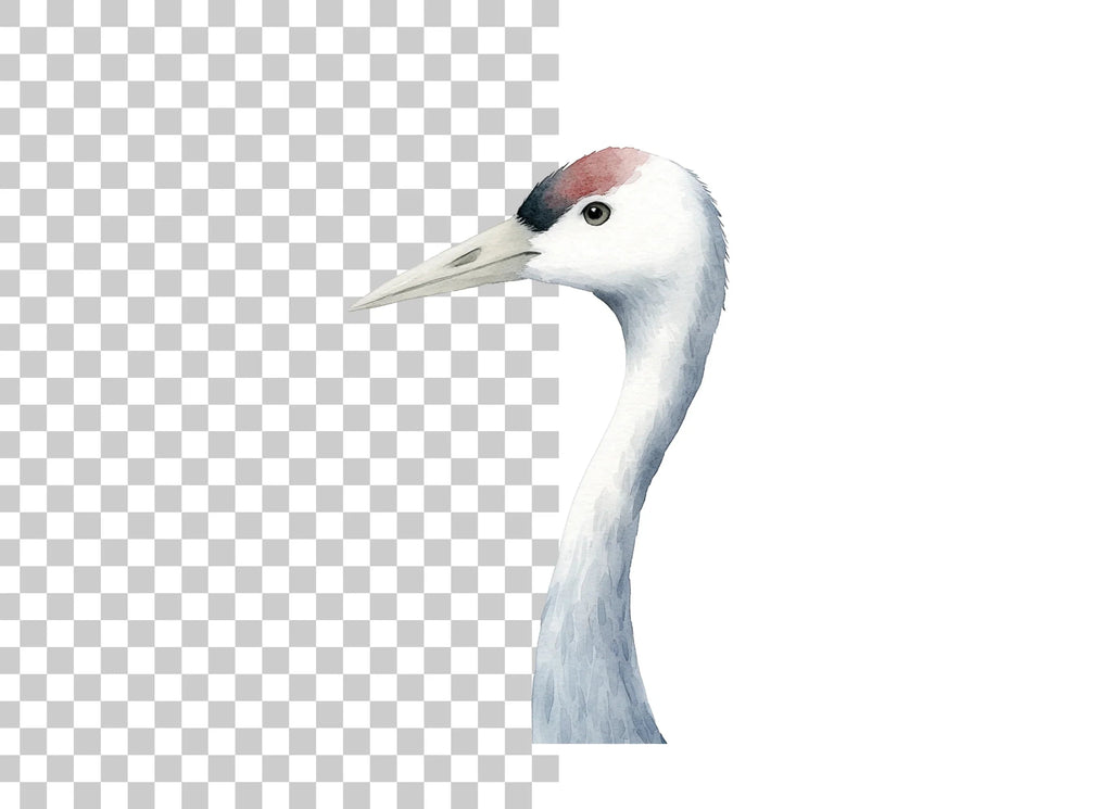 Elegant Crane Bird Head Clipart Bundle