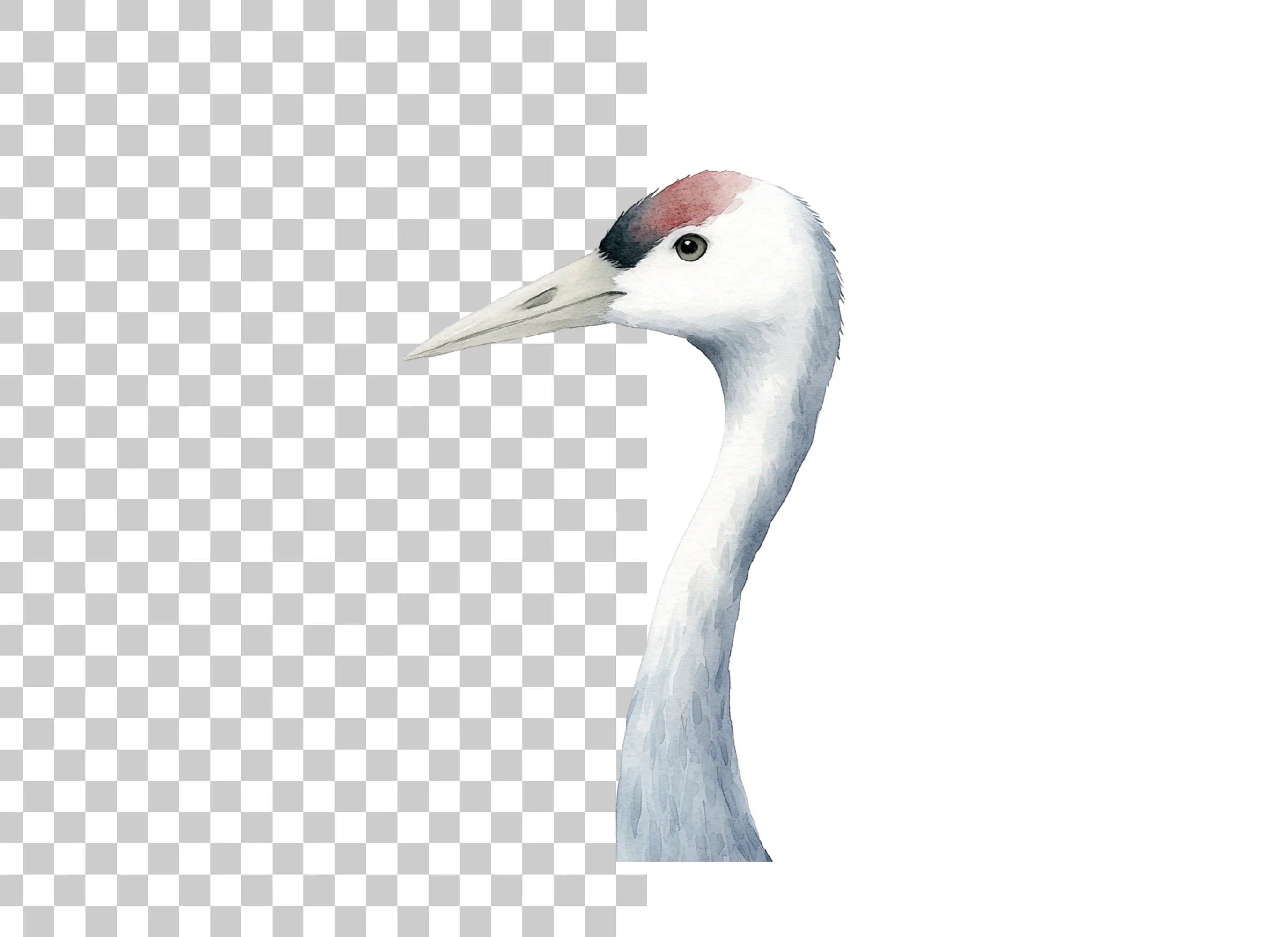 Elegant Crane Bird Head Clipart Bundle