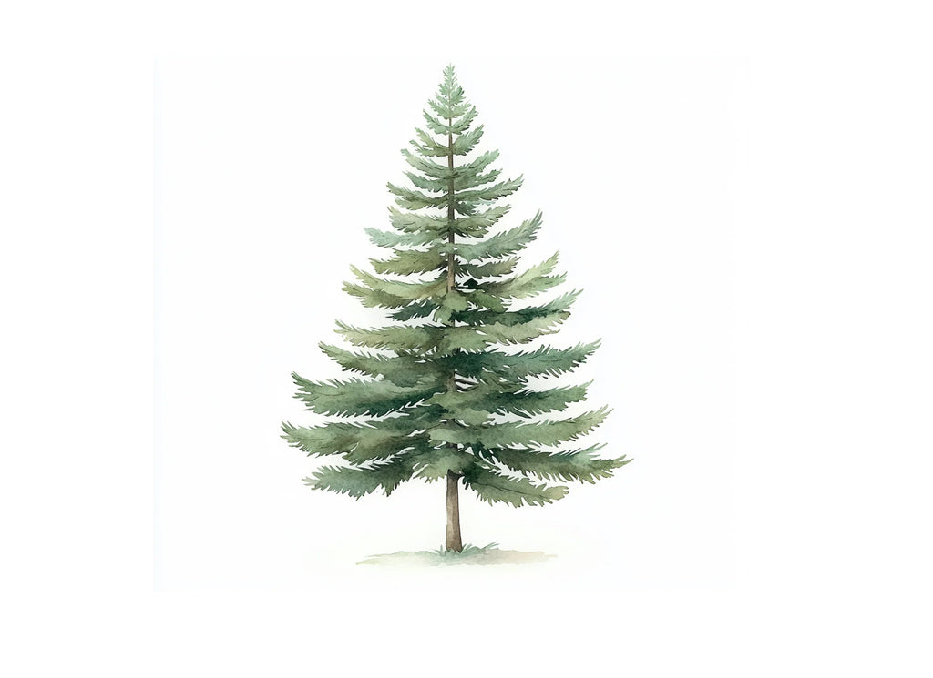 Pine Tree Clipart Bundle