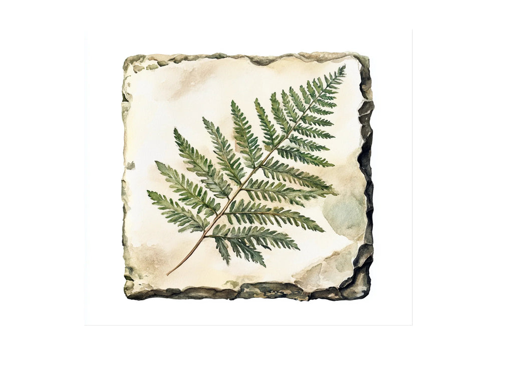 Fern Clipart Bundle
