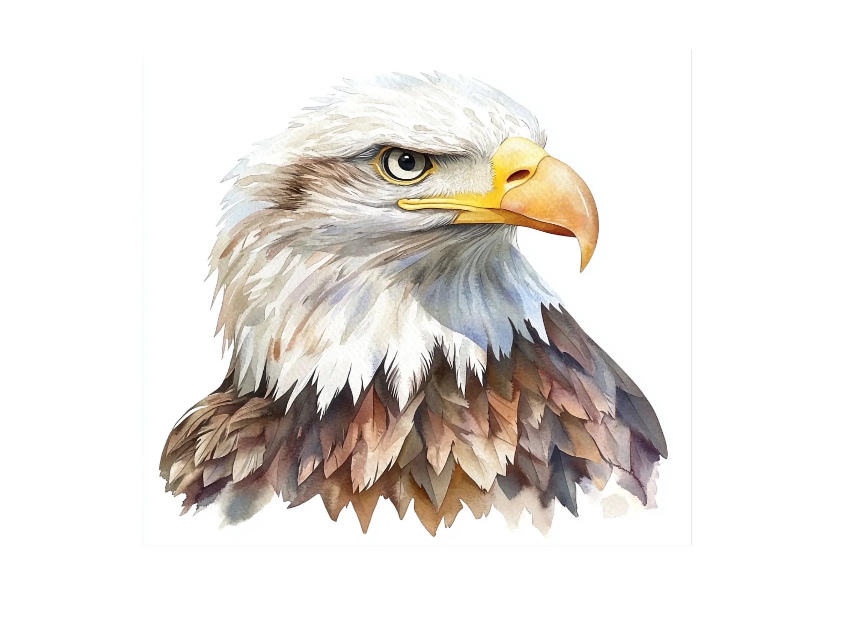 Majestic Eagle Head Clipart Bundle