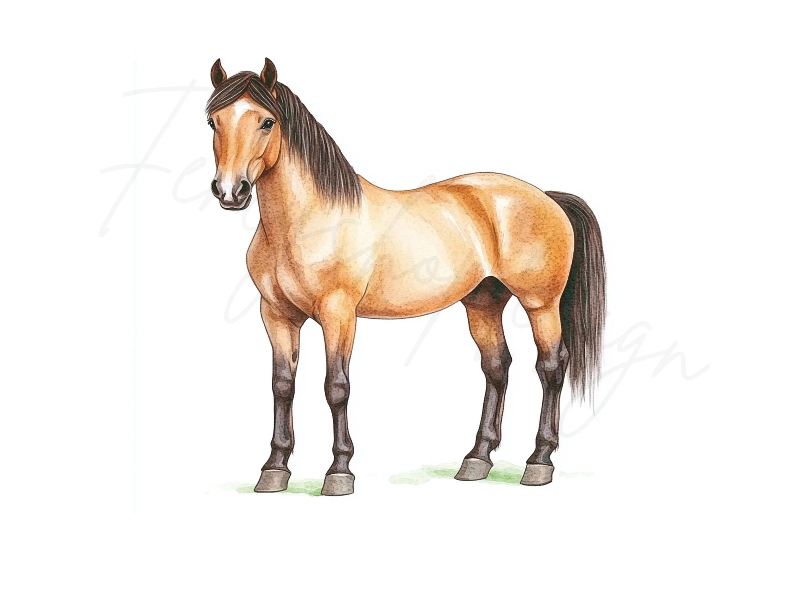 Majestic Palomino Horse Clipart Bundle