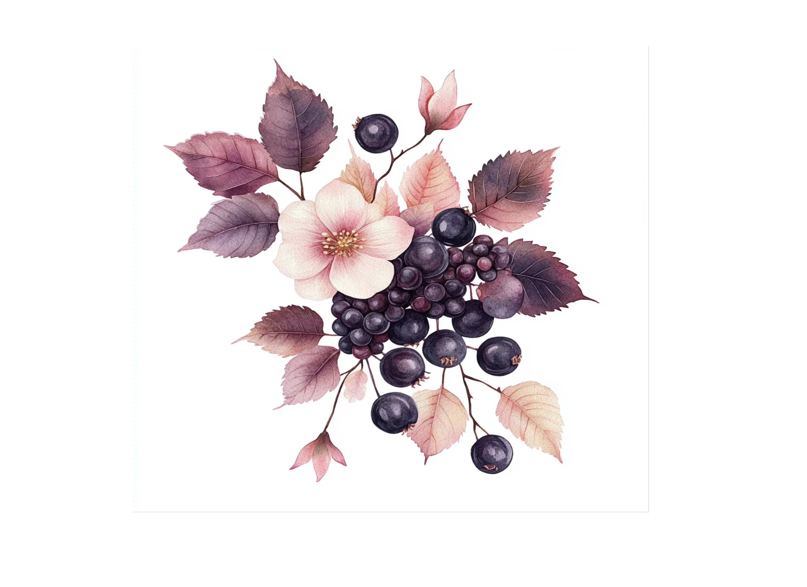 Berry Floral Clipart Bundle