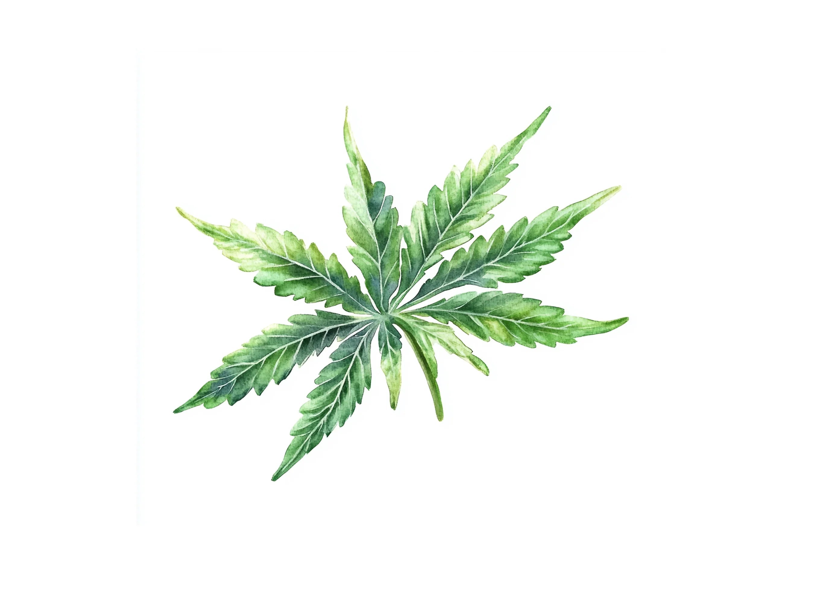 Vibrant Cannabis Leaf Clipart Bundle