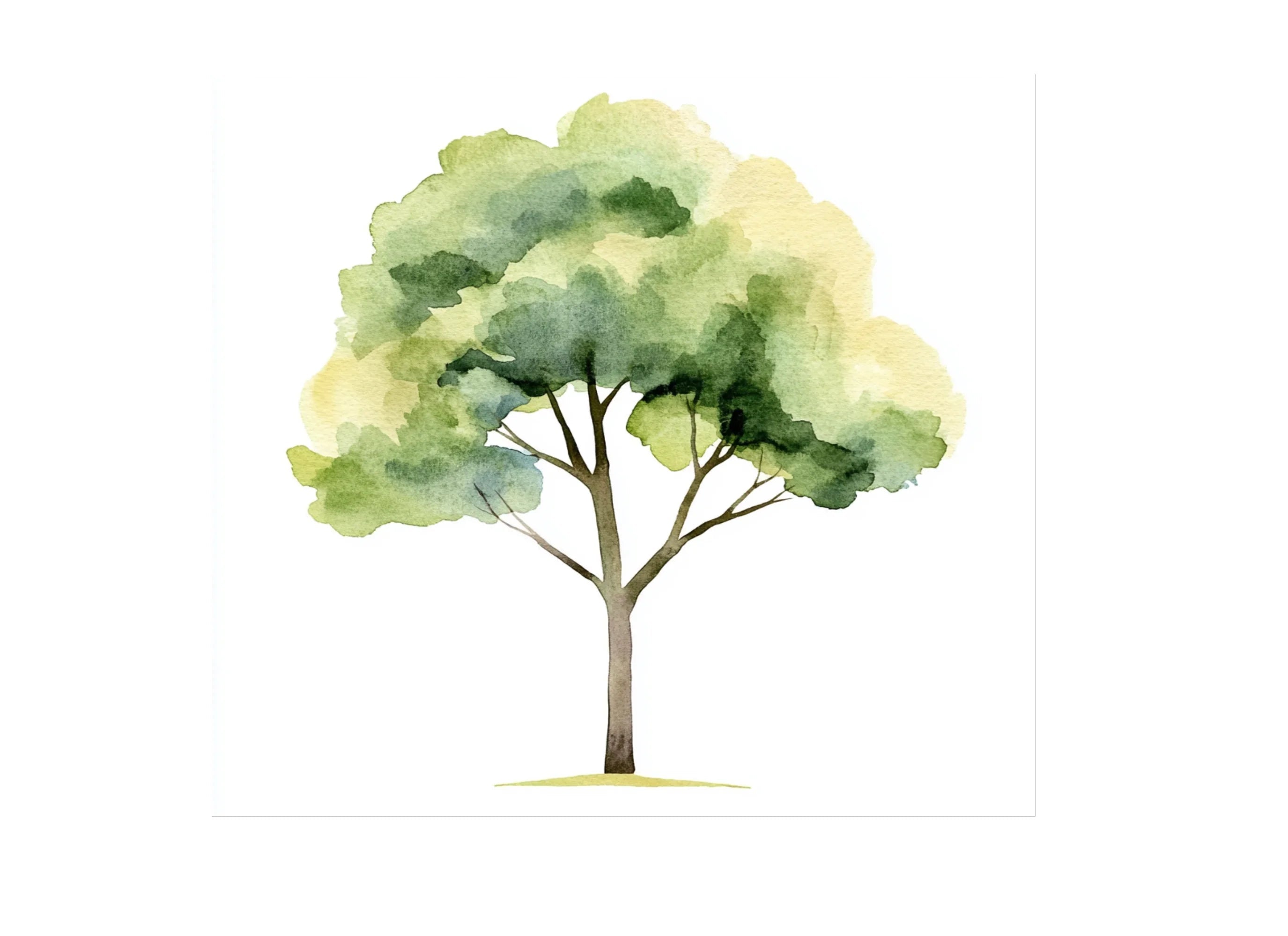 Trees Clipart Bundle