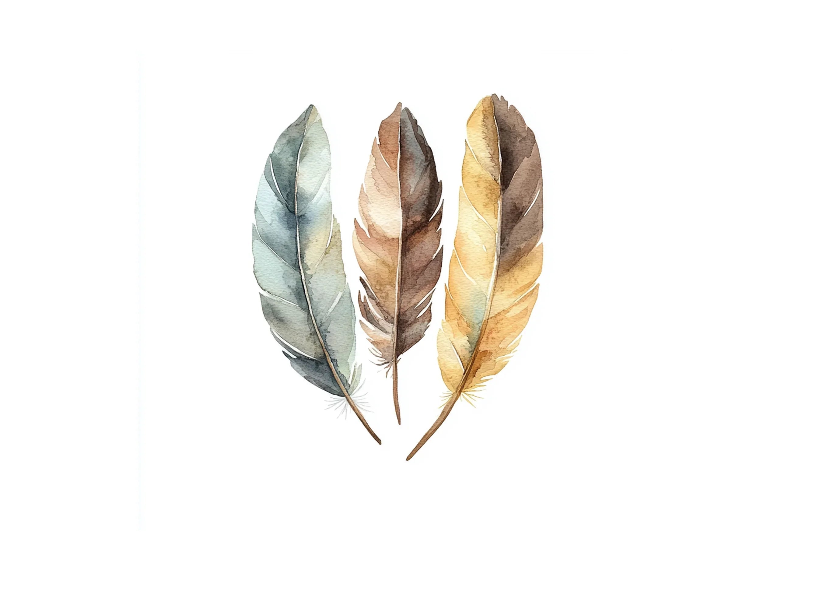 Natural Feather Clipart Bundle