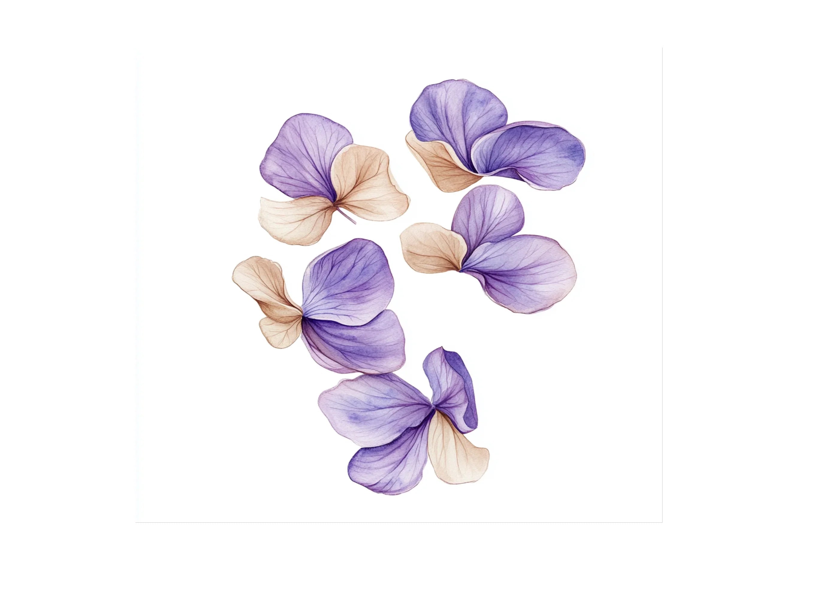 Purple Petals Clipart Bundle