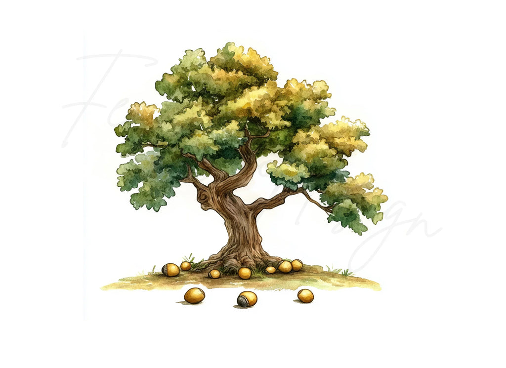 Oak Tree Clipart Bundle