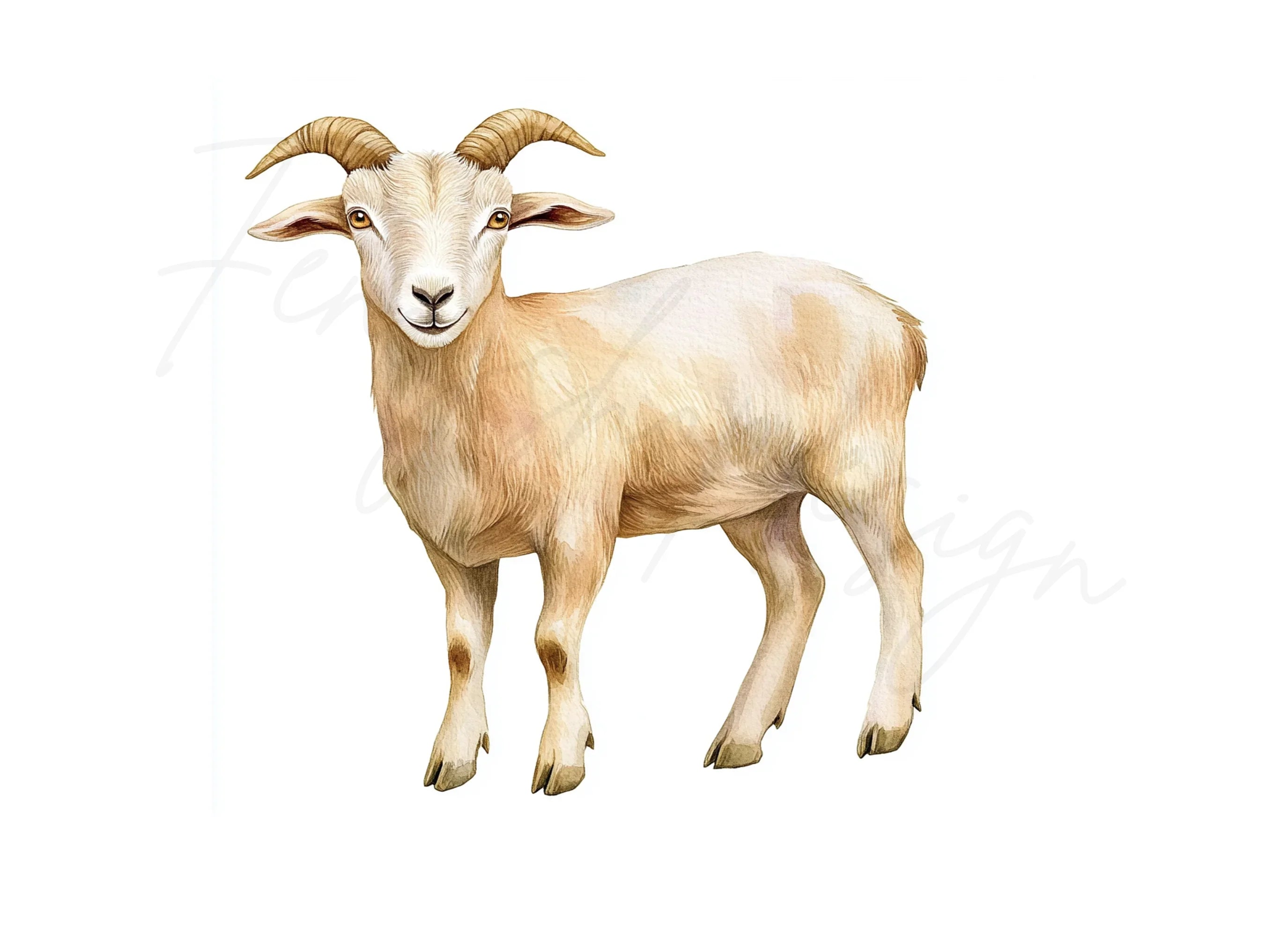 Cute Baby Goat Clipart Bundle