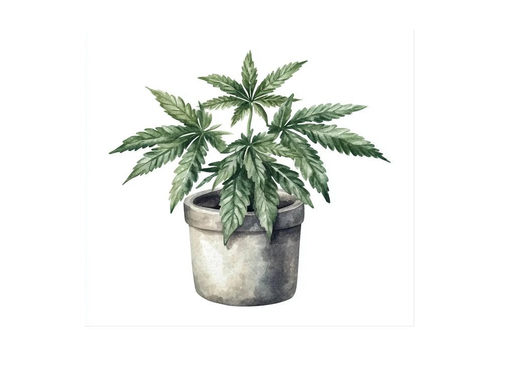 Potted Cannabis Plants Clipart Bundle