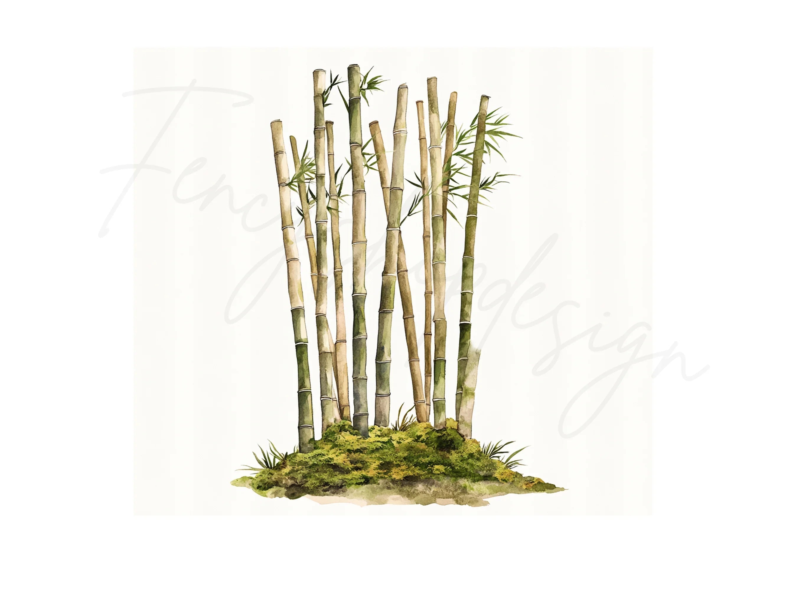 Lush Bamboo Forest Clipart Bundle
