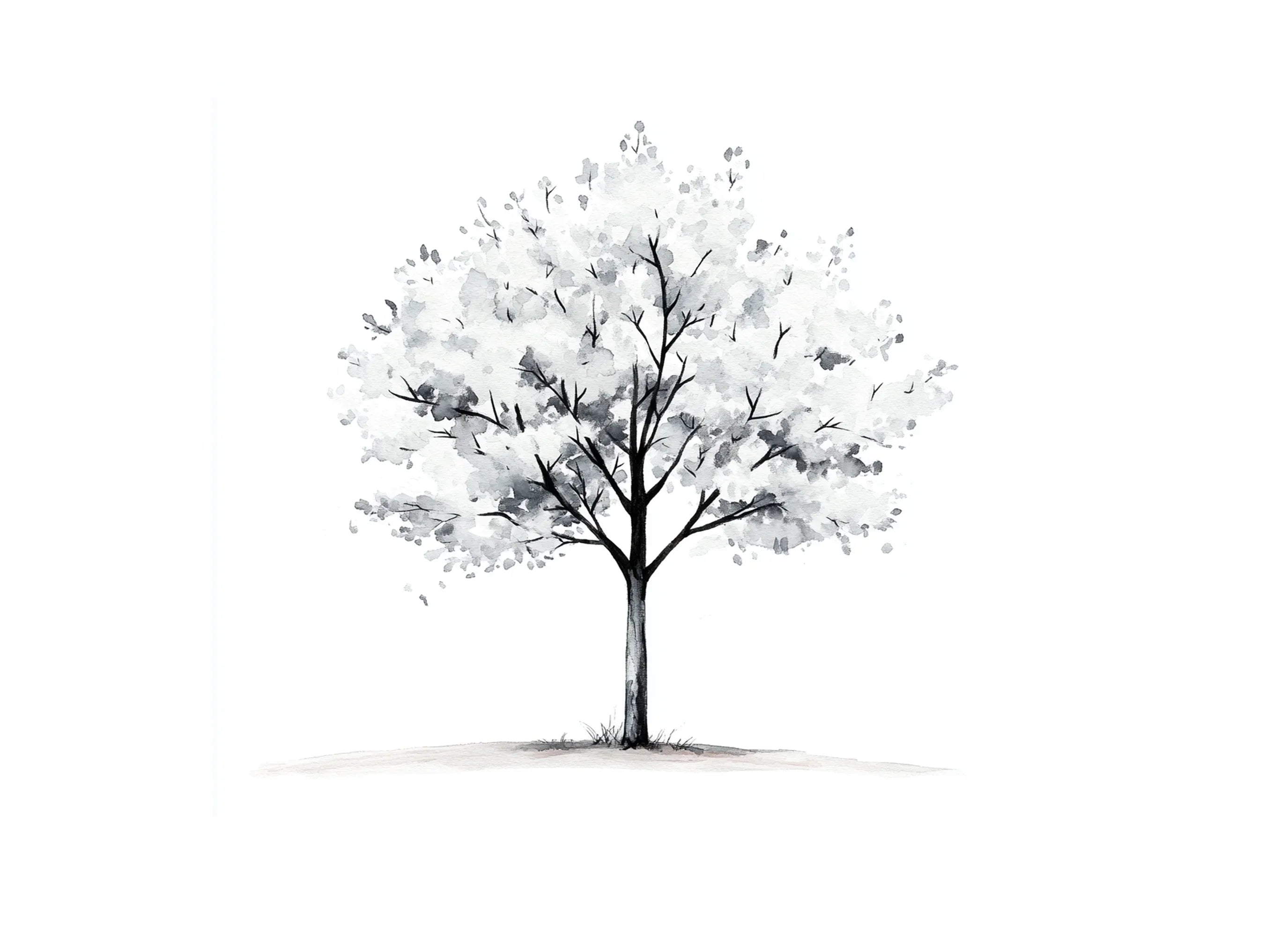 Monochrome Tree Clipart Bundle