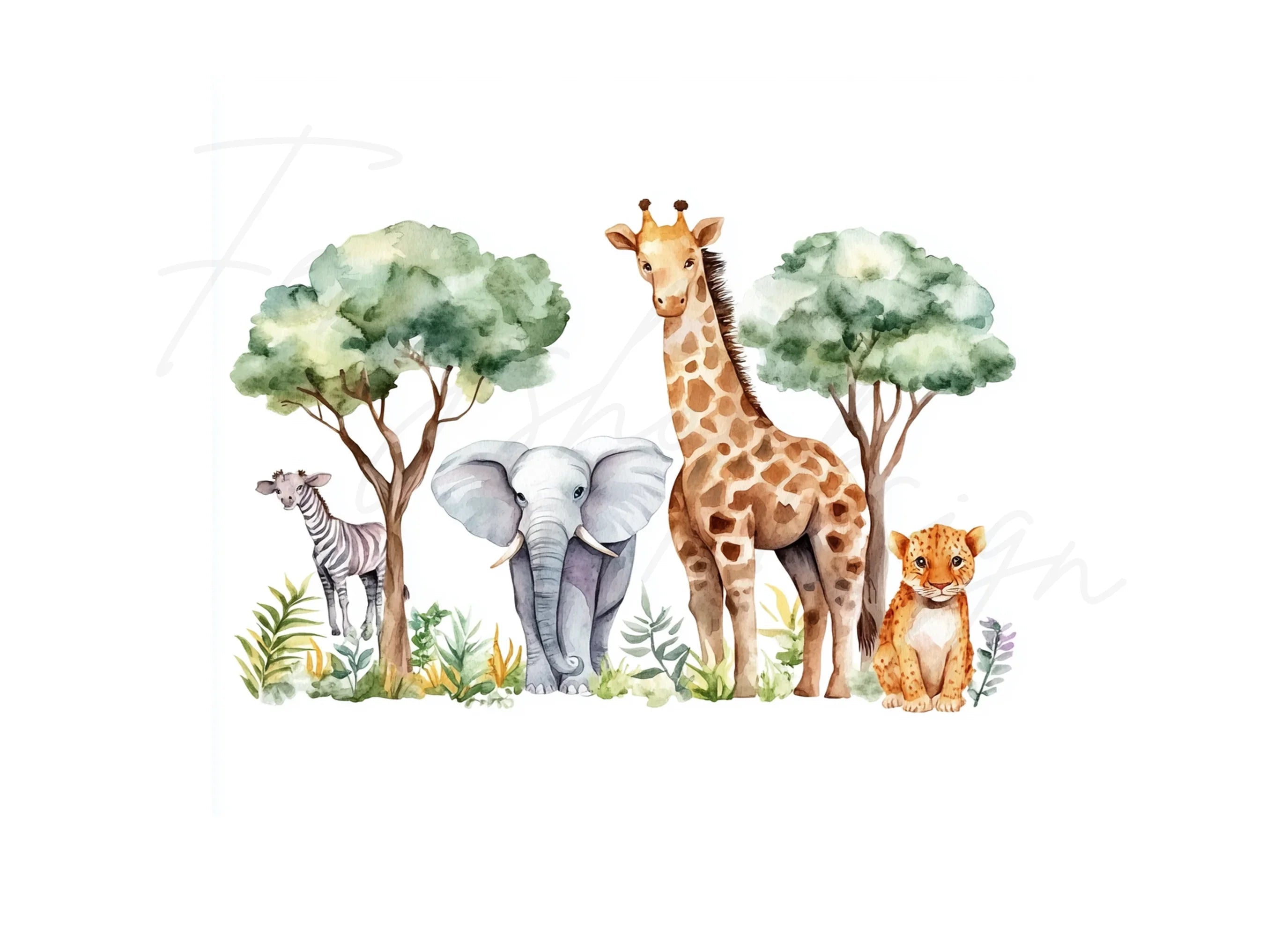 Safari Animals Clipart Bundle